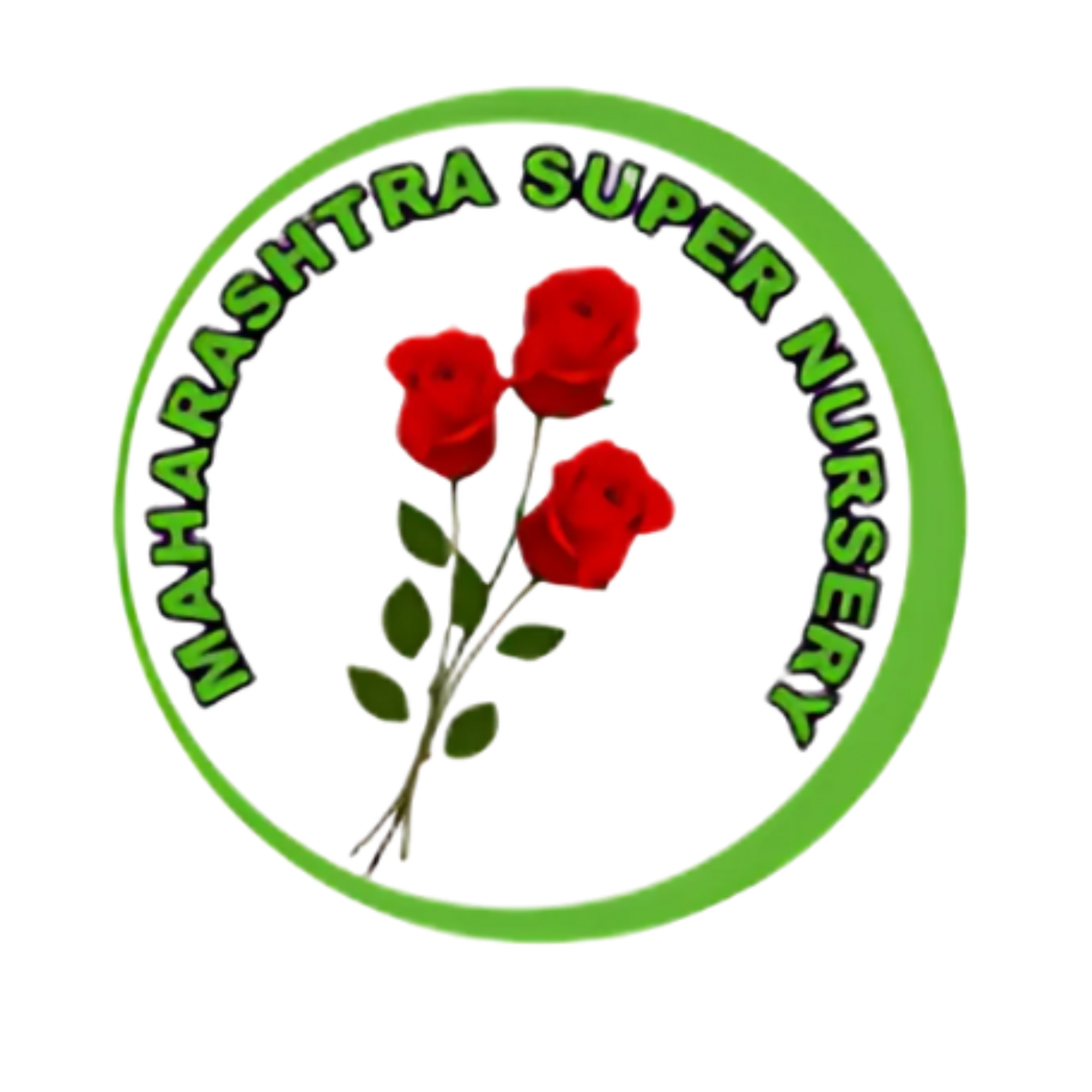 MS Nursery