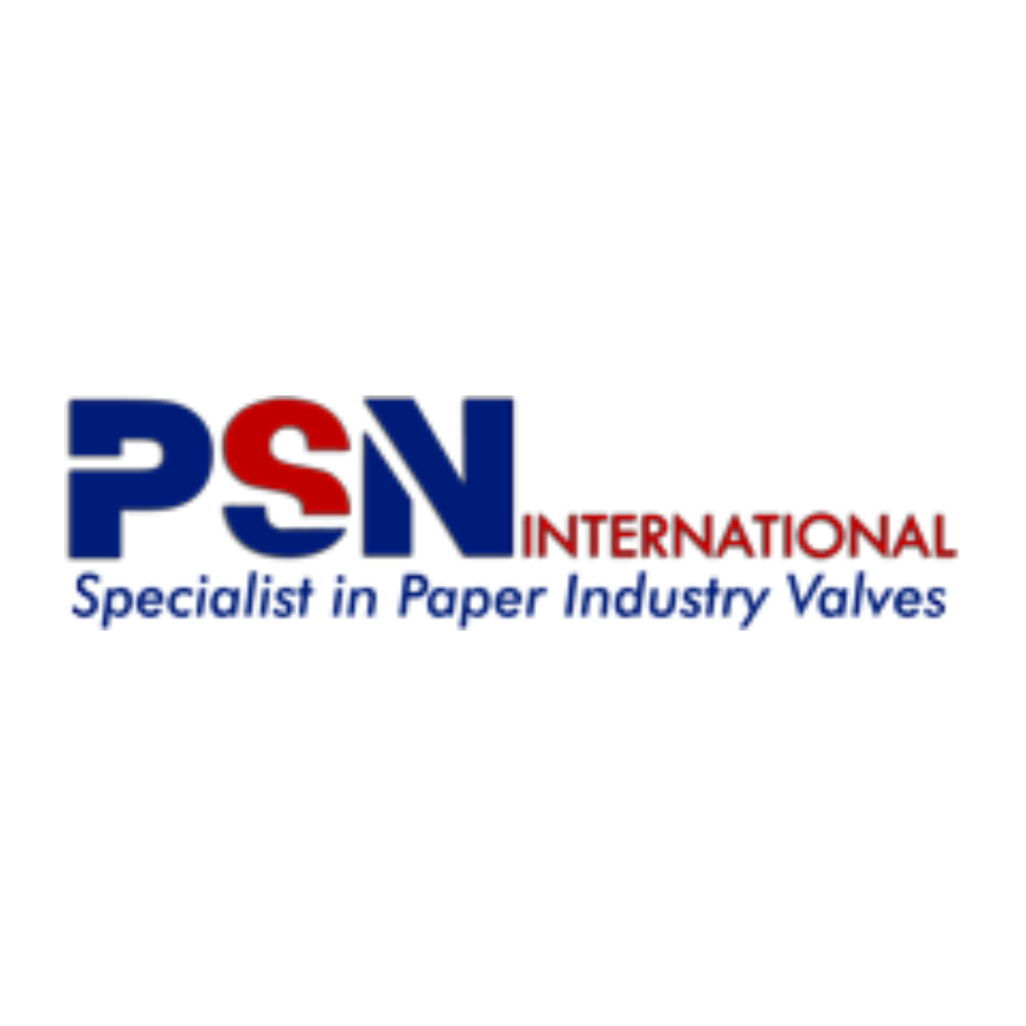 PSN International